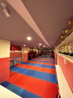 Sancaktepe Academy Sport Club