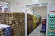 Organik Life Organik Yumurta Toptan Satış Ve Dağıtım Hizmetleri