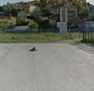 Baltalimanı Direksiyon Sınav Yeri