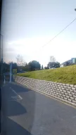 Üniversite